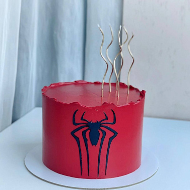 "Паук" купить - соликамск.сладкоежкин.рф