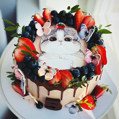 Торт "Котенок" купить - соликамск.сладкоежкин.рф